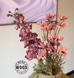 Brynxz delphinium pink