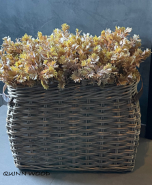 Brynxz senecio bush bronze