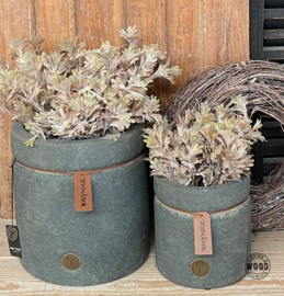 Brynxz planter majestic vintage 15cm