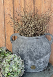 Brynxz twig bush