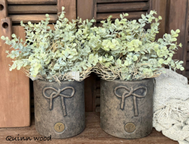 Sylxz bush eucalyptes ancient grey