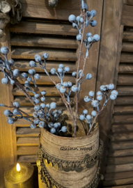 Brynxz berry autumn burgundy