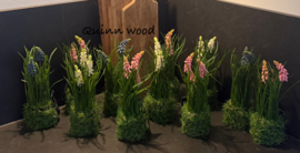 Kunst druifjes in mos