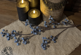 Brynxz berry autumn burgundy