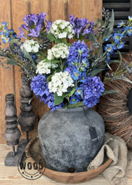 Brynxz agapanthus dark blue