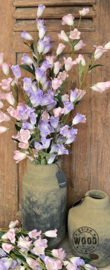 Brynxz campanulla light pink