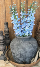 Brynxz delphinium light blue