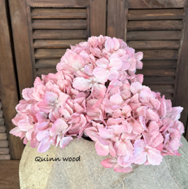 Sylxz hydrangea sober pink