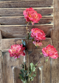 Sylxz ranunculus sober spring dark pink