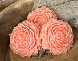 Geur roos  Bubblegum