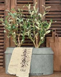 Olijfboompje kunst