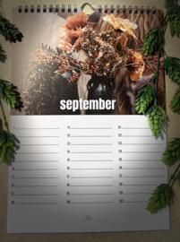 Sfeer kalender