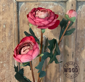 Brynxz triple peony dark red