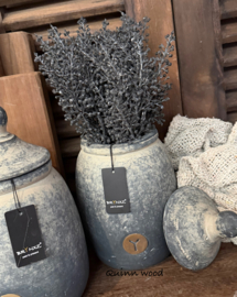 Brynxz pot and top nostalgic