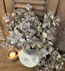 Lamium bush