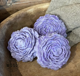 Geur roos Purple rain