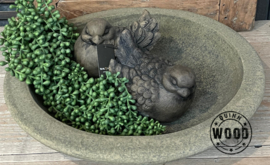 Brynxz plate ancient earth 39cm