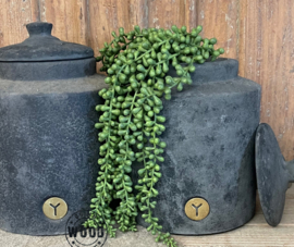 Brynxz Pot & Top Straight Stone Black