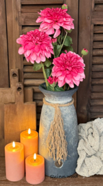 Sylxz Dahlia Grande Pink