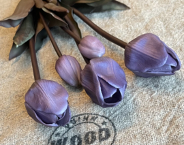 Tulpen  paars 45cm