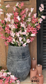 Brynxz cap lily pink