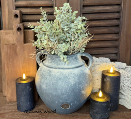 Brynxz jug allure two ears