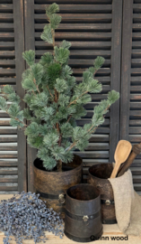 Metalen pot large