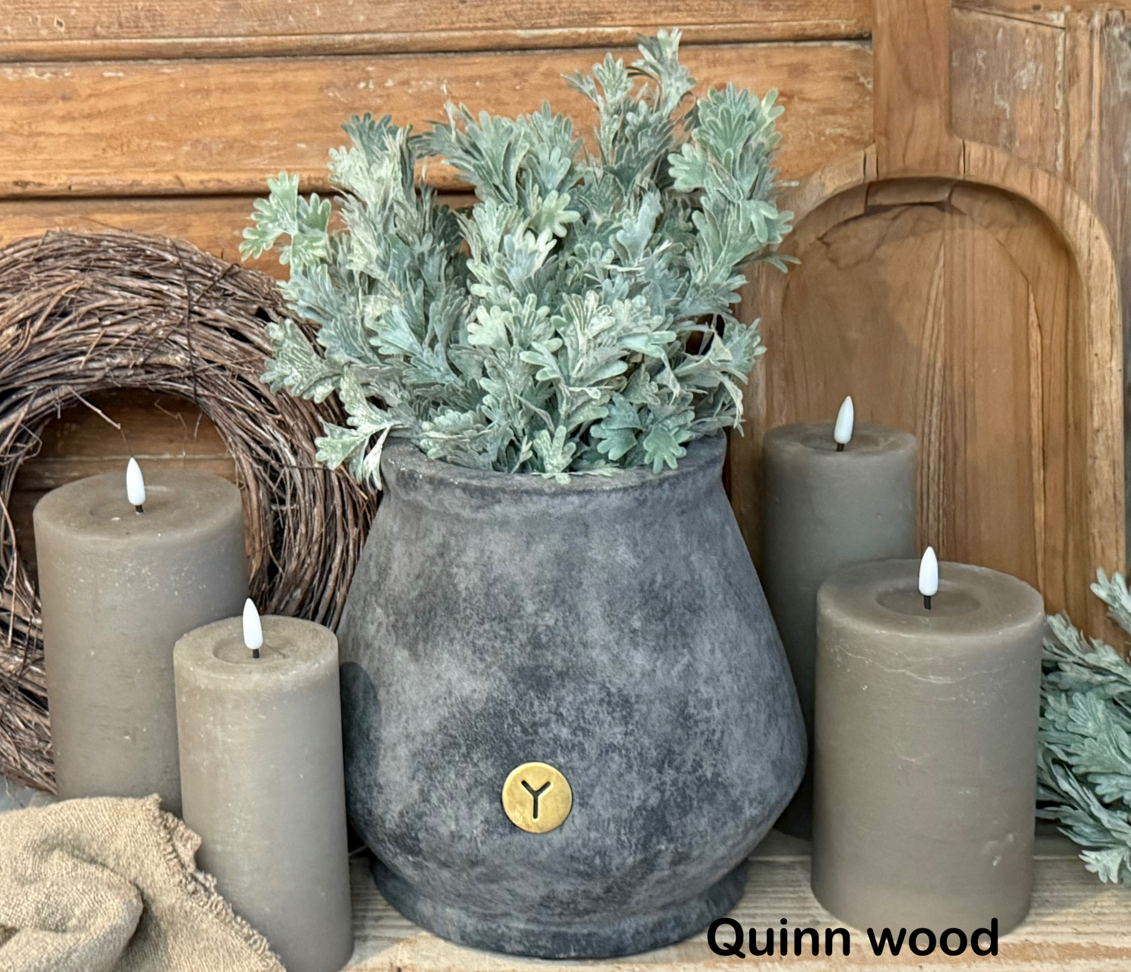 Brynxz senecio bush grey