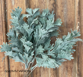 Brynxz senecio bush grey