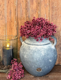 Sylxz Bundle Of 5 Stems Gypsophila burgundy