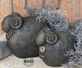 Brynxz sheep with horn majestic brown M