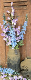 Brynxz campanulla blue