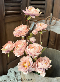 Sylxz ranunculus sober spring soft pink