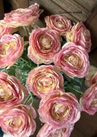 Sylxz ranunculus spring roze