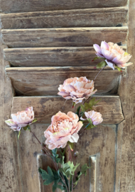 Sylxz ranunculus sober spring soft pink