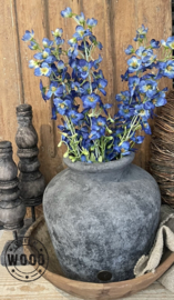 Brynxz delphinium blue