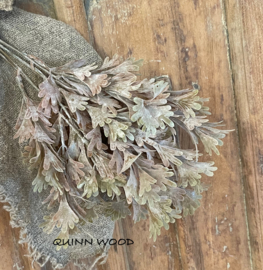 Brynxz senecio bush bronze