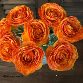 Sylxz ranunculus spring oranje