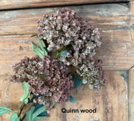 Brynxz hydrangea brown