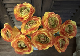 Sylxz ranunculus spring geel