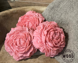Geur roos  Rose