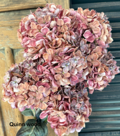 Brynxz hyndrangea pink
