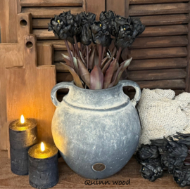 Brynxz jug allure two ears