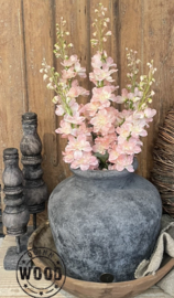 Brynxz delphinium light pink