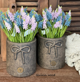 Sylxz druifjes blauw