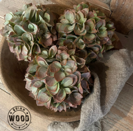 Unieke houten schaal NO3