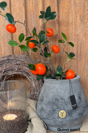Brynxz planter grandeur Large stone grey