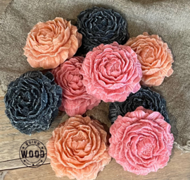 Geur roos  Rose