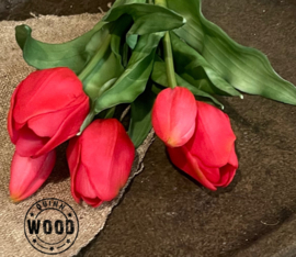 Zijden tulpen fuchsia