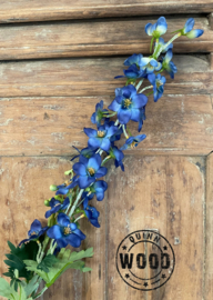 Brynxz delphinium blue